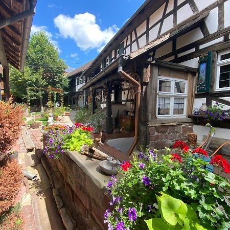 La Ferme De Grand Mere Furchhausen Kültér fotó
