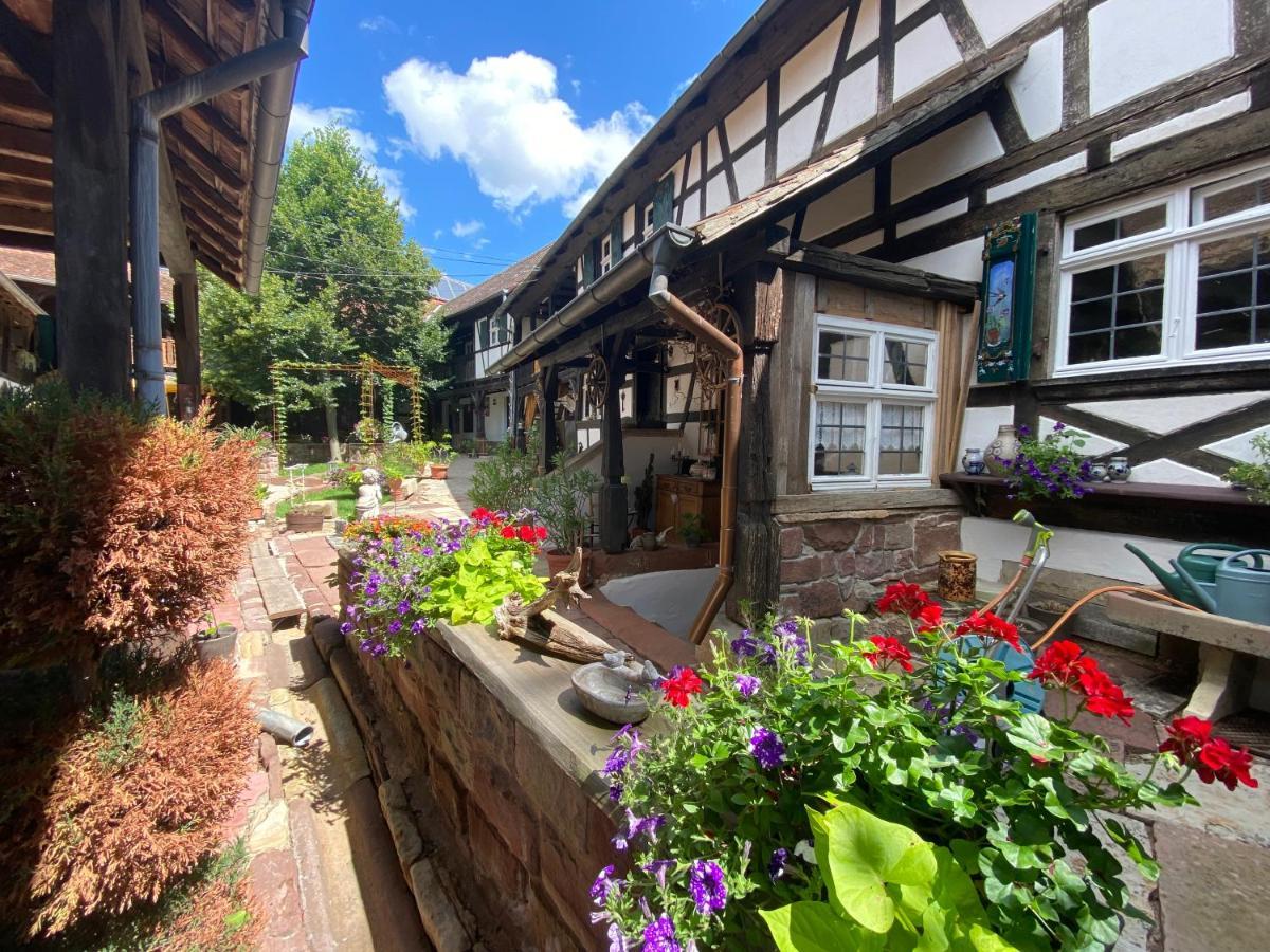 La Ferme De Grand Mere Furchhausen Kültér fotó