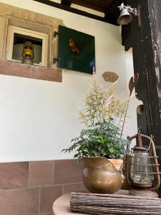 La Ferme De Grand Mere Furchhausen Kültér fotó